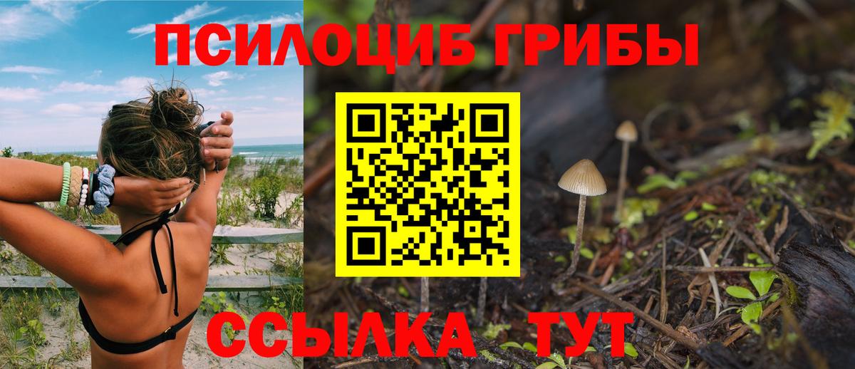 Галлюциногенные грибы мухоморы Торжок