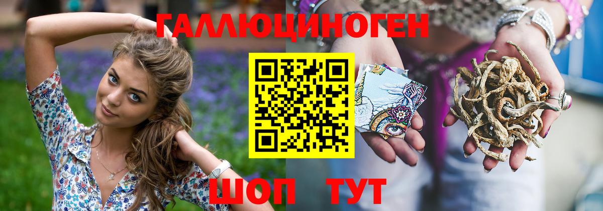 Галлюциногенные грибы прущие грибы  Галлюциногенные грибы Psilocybe  Вход с VPN  Торжок 